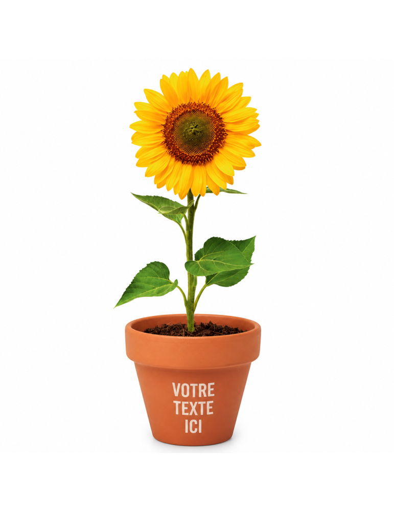 Pot graines de tournesol  et personnalisé | Cadeaux s