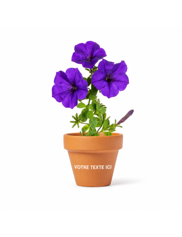 Pot de Fleurs Éco-responsable Personnalisé pas cher - Soltax Matières : terre cuite 2