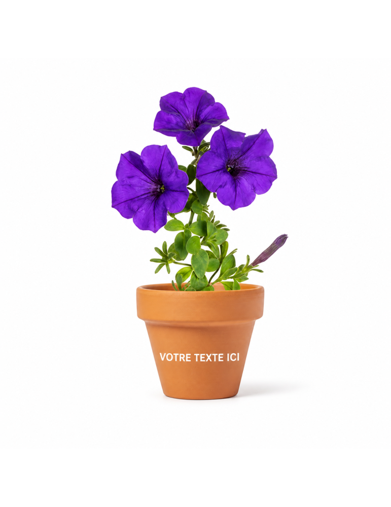 Accessoire de Jardin Pot de Fleurs Personnalisé Soltax pas cher