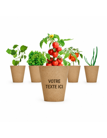 Kit de culture de salade personnalisé pas cher - Graines & terreau inclus 2