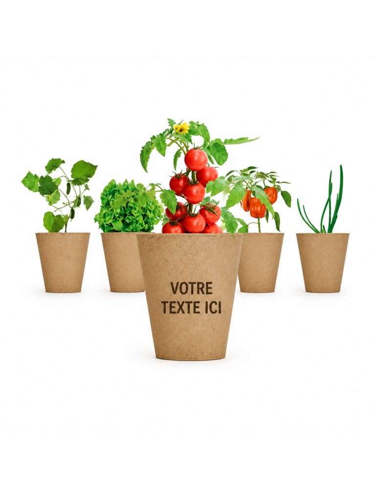 Kit de culture de salade personnalisé pas cher - Graines & terreau inclus
