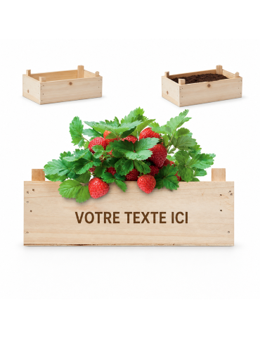 Kit de Culture de Fraises | Objets Publicitaires 2