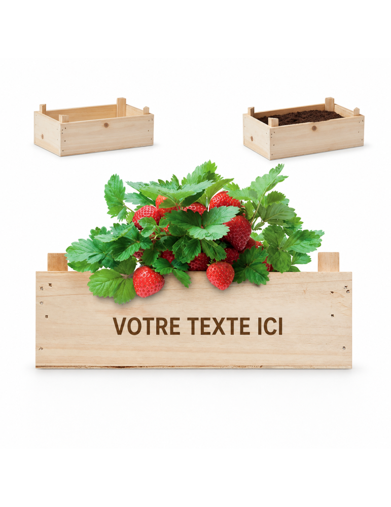 Kit de Culture de Fraises | Objets Publicitaires