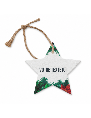 Décoration  personnalisée - Cadeau d'entreprise STARSEED 2