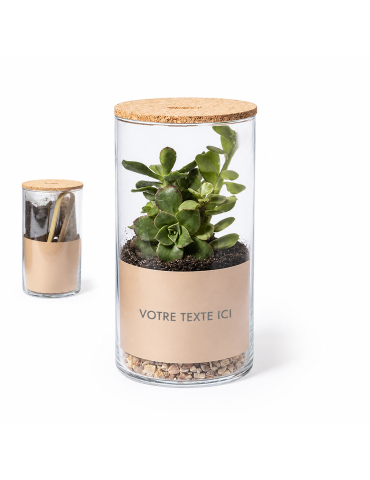 Terrarium design personnalisé pas cher Anymak Matières : liège 2