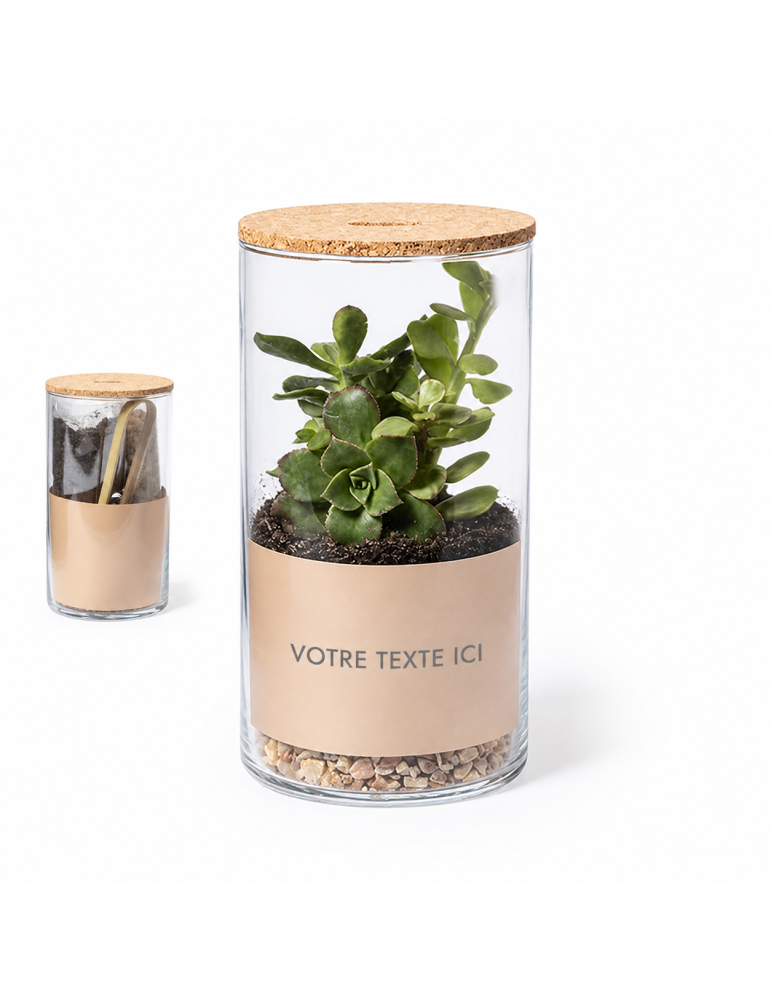 Terrarium Anymak Jardin d'intérieur design Personnalisé pas cher