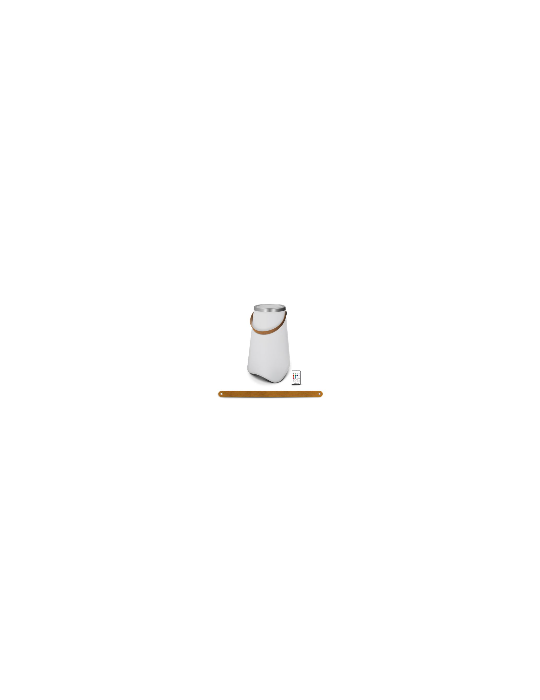 Seau lumineux Bluetooth personnalisé pour soirées BDE