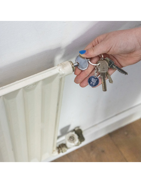 Porte-clés jeton et clé de radiateur en alliage de zinc RCS personnalisable