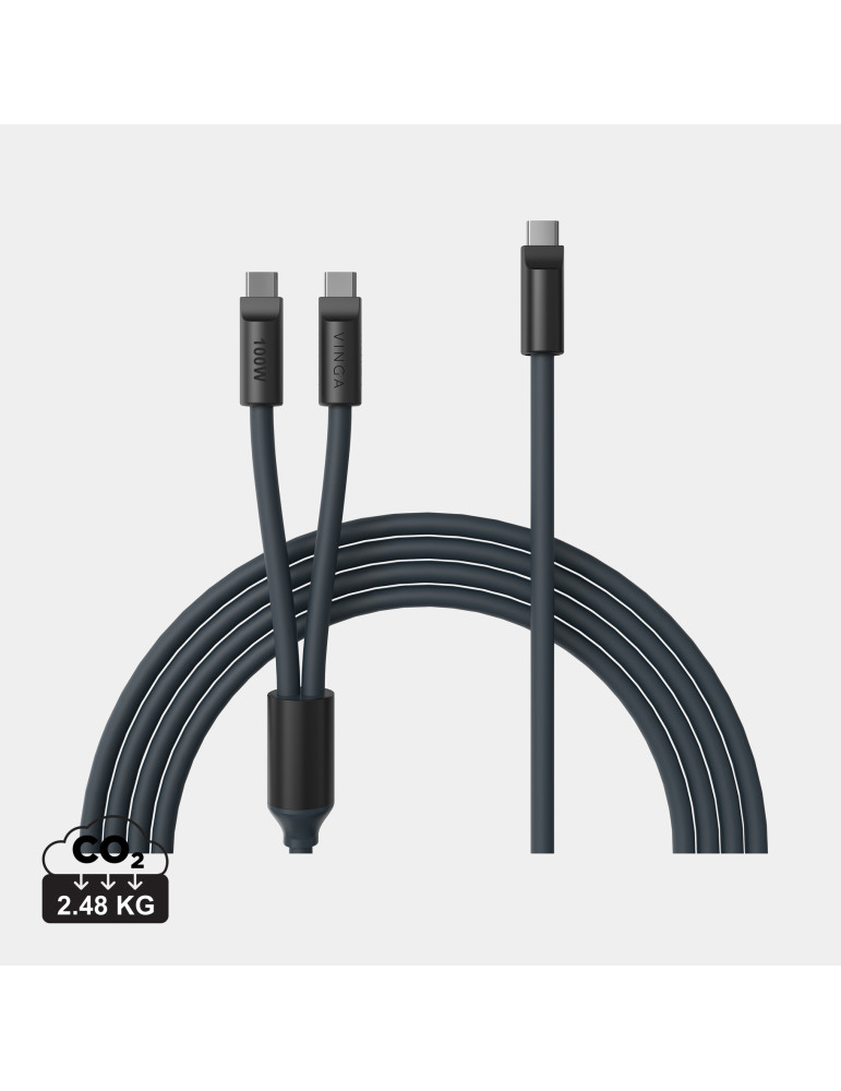 Câble multiple USB-C Vinga Baltimore 100 W personnalisable