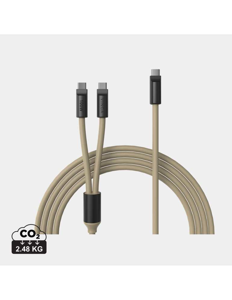Câble multiple USB-C Vinga Baltimore 100 W personnalisable