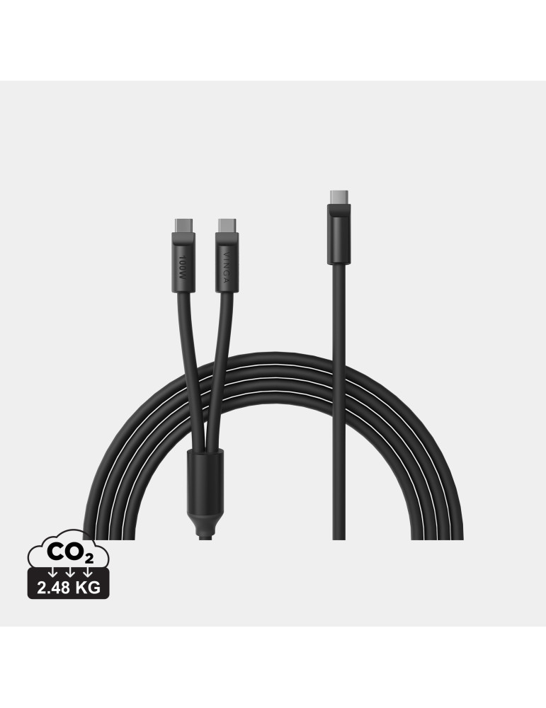 Câble multiple USB-C Vinga Baltimore 100 W personnalisable