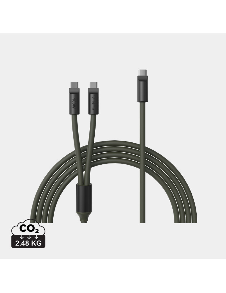 Câble multiple USB-C Vinga Baltimore 100 W personnalisable