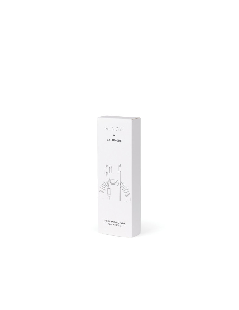 Câble multiple USB-C Vinga Baltimore 100 W personnalisable