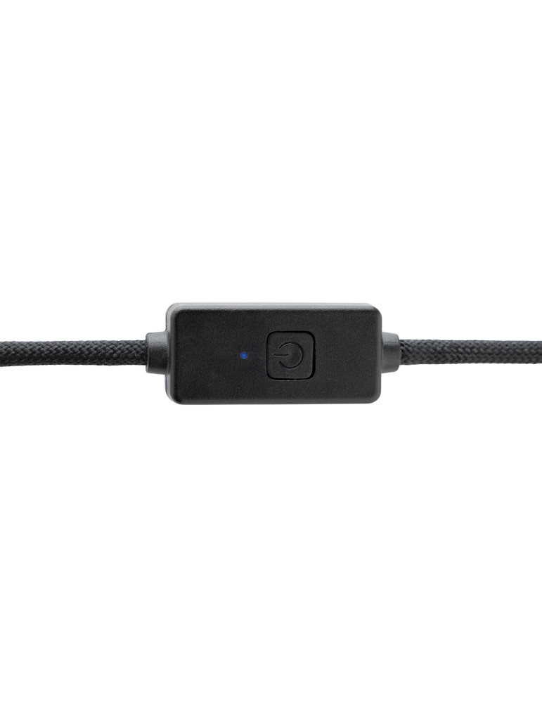 Câble de protection contre le piratage Datalock recyclé RCS personnalisable