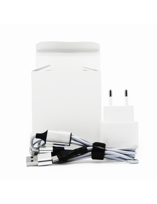 Kit blanc chargeur USB-C 15 W et câble 4 en 1