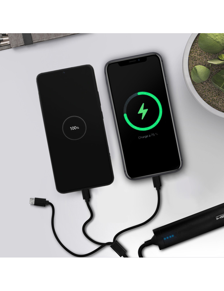 Câble USB 3 en 1 avec batterie de secours 2600 mAh
