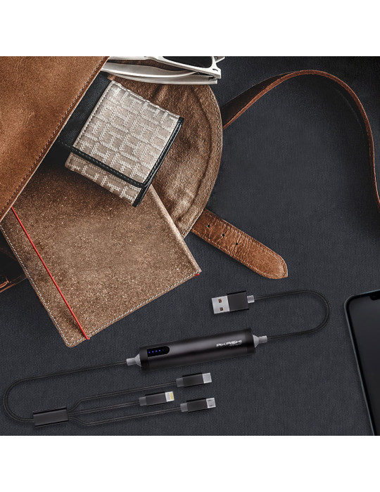 Câble USB 3 en 1 avec batterie de secours 2600 mAh