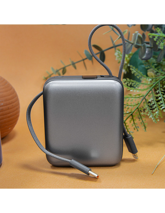 Batterie BUSHI 10 000 mAh avec câbles intégrés