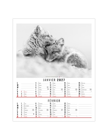 Calendrier illustré 2027 Anna à personnaliser 2