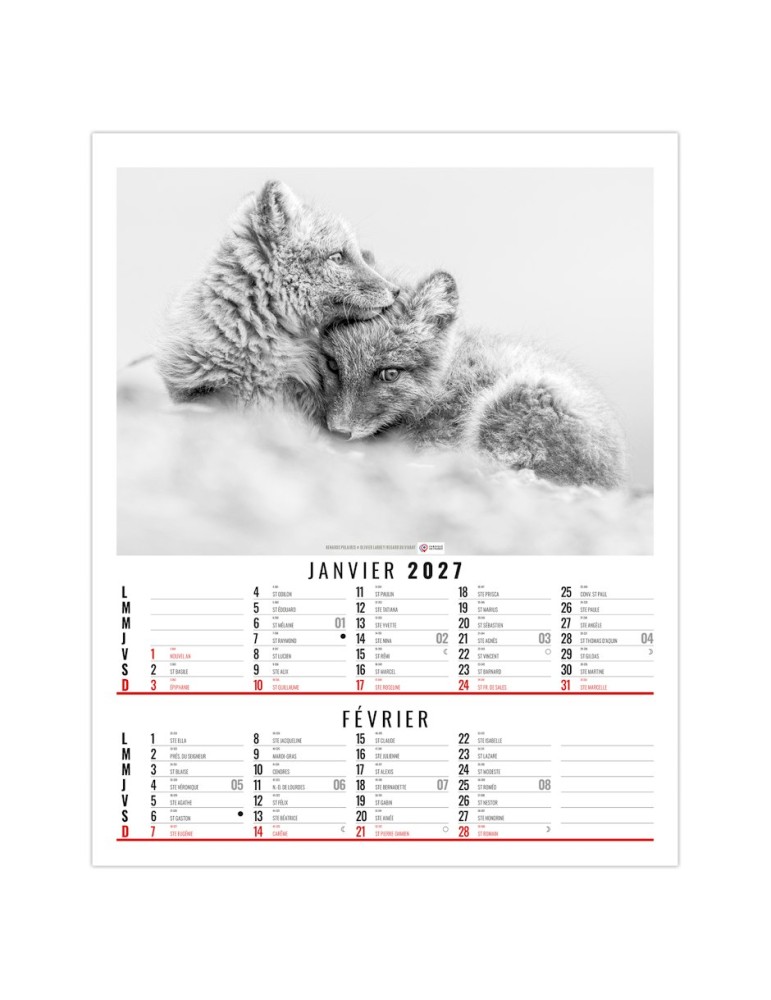 Calendrier illustré 2027 Anna à personnaliser