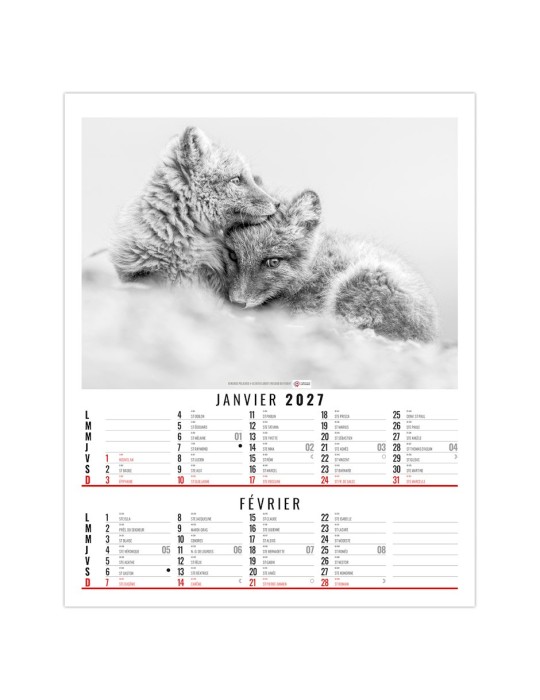 Calendrier illustré 2027 Anna à personnaliser
