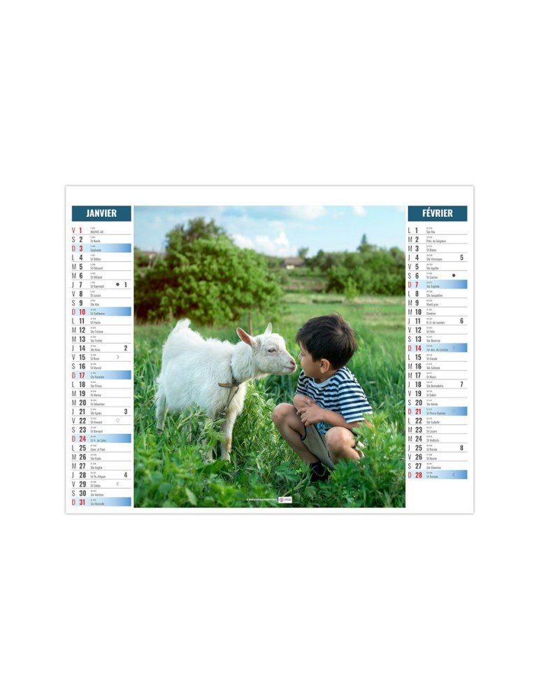 Calendrier illustré 2027 à personnaliser Enfants
