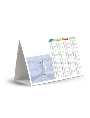 Calendrier chevalet Iceberg 2027 à personnaliser