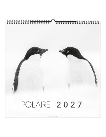 Calendrier illustré 2027 Polaire personnalisable