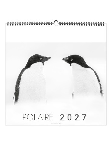 Calendrier illustré 2027 Polaire personnalisable 2