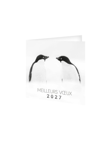 Carte de vœux avec calendrier 2027 FROID personnalisable