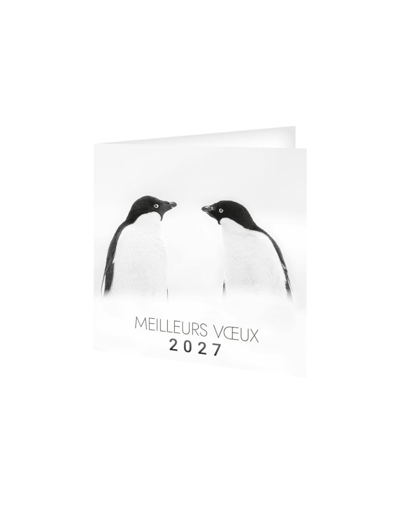 Carte de vœux avec calendrier 2027 FROID personnalisable