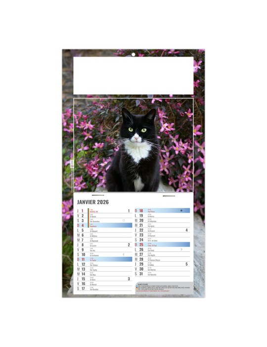 Calendrier illustré 2027 CÉSAR à personnaliser