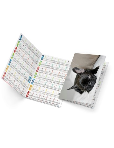 Calendrier de poche illustré 2027 personnalisé Fidèle