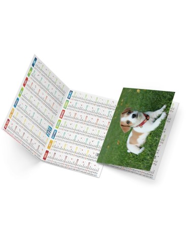 Calendrier de poche illustré 2027 personnalisé Fidèle 2