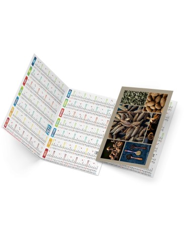 Calendrier de poche 2027 personnalisé EMMA