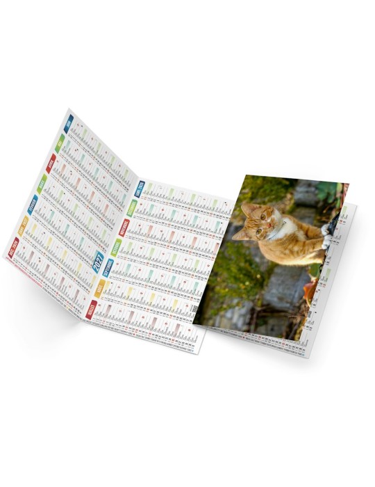 Calendrier de poche 2027 personnalisé Félix illustré