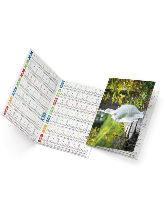 Calendrier de poche 2027 personnalisé Félix illustré
