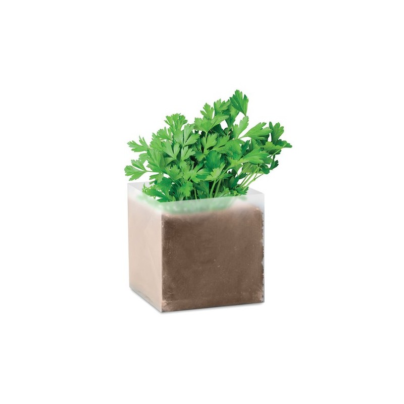 Substrat Personnalisé avec Graines de Persil - PARSELY, Idéal pour Jardiniers pas cher Couleurs : beige