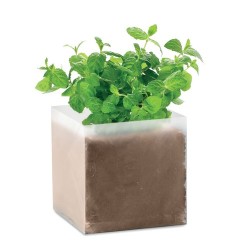 Substrat Éco-responsable Pratique avec Graines de Menthe - MINT Couleurs : beige