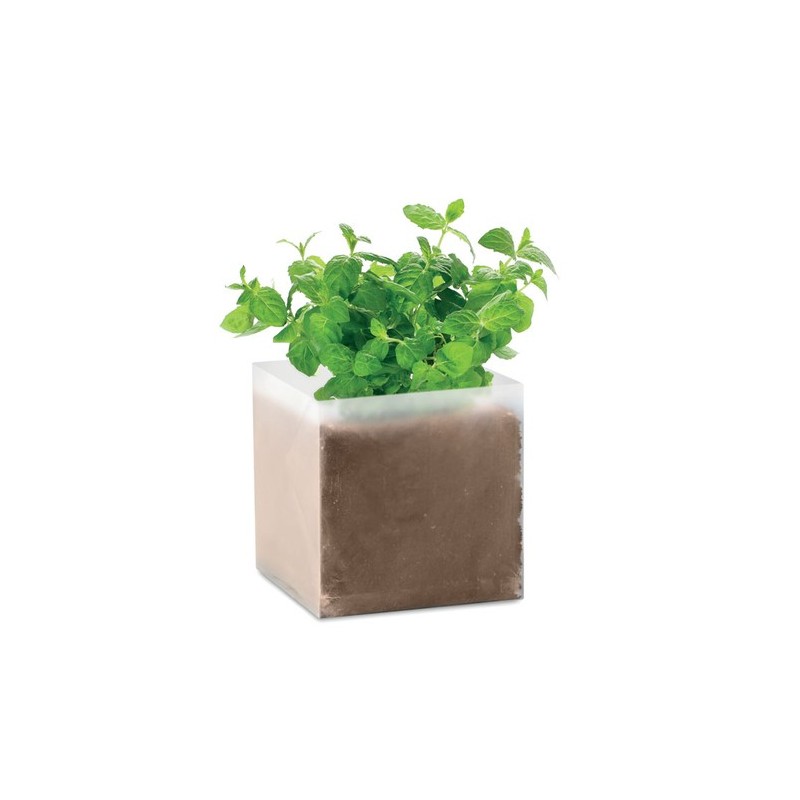 Substrat Éco-responsable Pratique avec Graines de Menthe - MINT Couleurs : beige