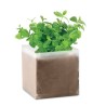 Substrat Éco-responsable Pratique avec Graines de Menthe - MINT Couleurs : beige