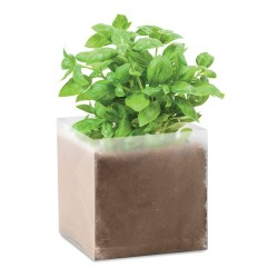 Substrat Éco-responsable avec Graines de Basilic - BASIL Couleurs : beige