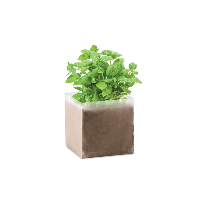 Substrat Éco-responsable avec Graines de Basilic - BASIL Couleurs : beige