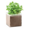 Substrat Éco-responsable avec Graines de Basilic - BASIL Couleurs : beige