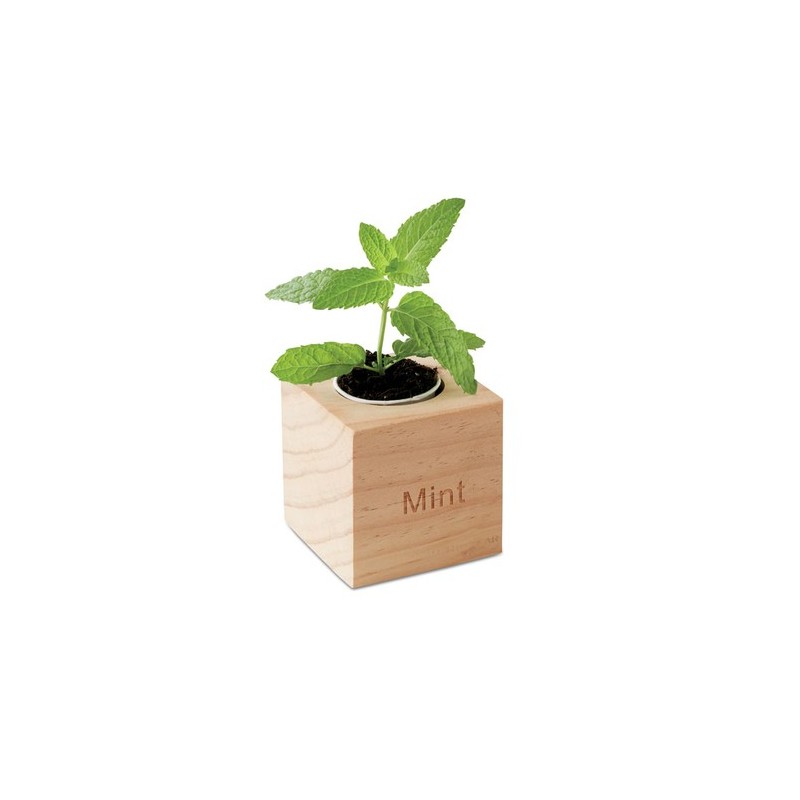 Pot en bois personnalisé avec graine de menthe MENTA Matières : bois Couleurs : bois cadeau entreprise pas cher