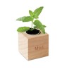 Pot en bois personnalisé avec graine de menthe MENTA Matières : bois Couleurs : bois cadeau entreprise pas cher