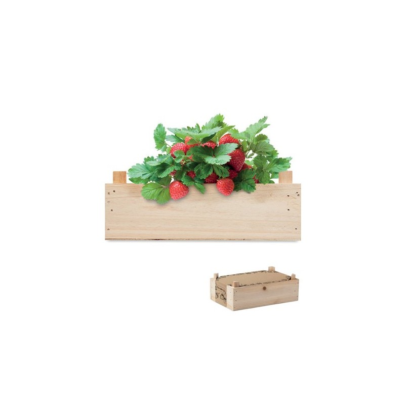 Kit Éco-responsable de Culture de Fraises dans une Cai - STRAWBERRY Matières : bois Couleurs : bois