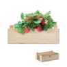Kit Éco-responsable de Culture de Fraises dans une Cai - STRAWBERRY Matières : bois Couleurs : bois