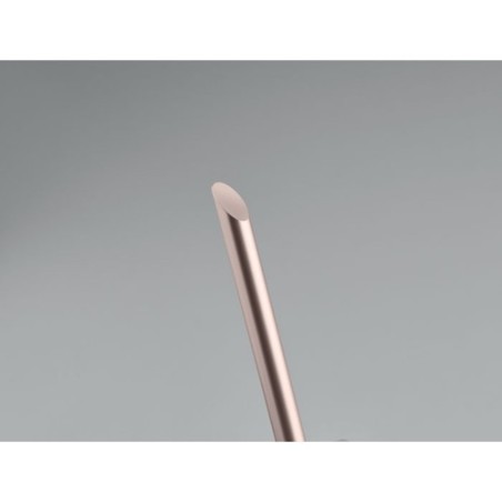 Stylo sans encre PENEVER : Écriture durable et écolo