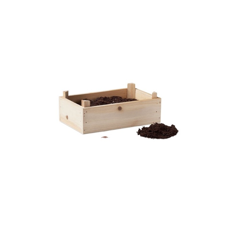 Kit Éco-responsable de Culture de Fraises dans une Cai - STRAWBERRY Matières : bois Couleurs : bois cadeau entreprise pas cher